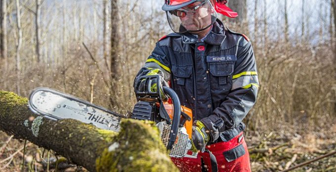 Best Cordless Chainsaw Consumer Ratings & Reports 2022