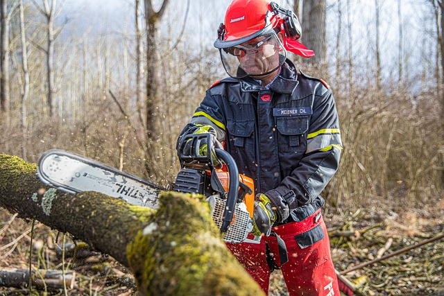 Best cordless chainsaw consumer ratings & reports
