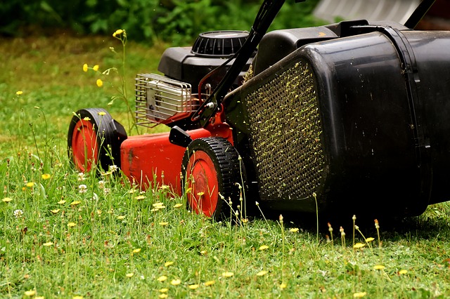 Best electric lawn mower consumer ratings & reports