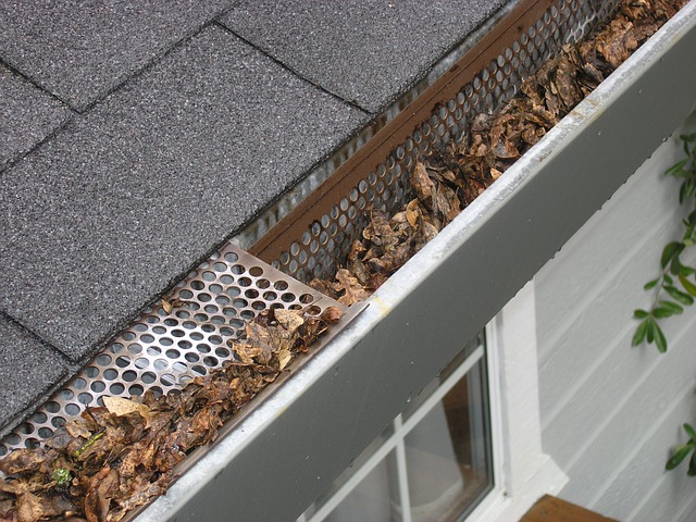 Best gutter guards consumer ratings & reports